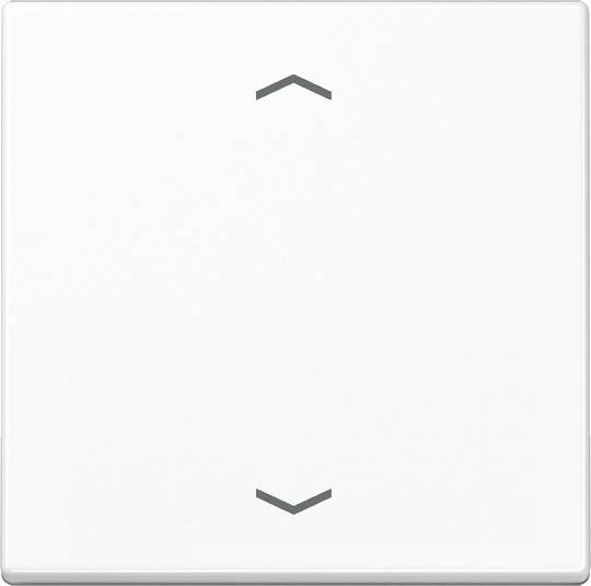 Jung Wippe A101PBFWW