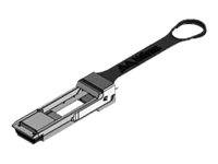 Extreme Networks - Netzwerkadapter - QSFP28/QSFP+