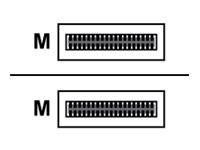Lenovo Infiniband - InfiniBand-Kabel - QSFP28 bis QSFP28