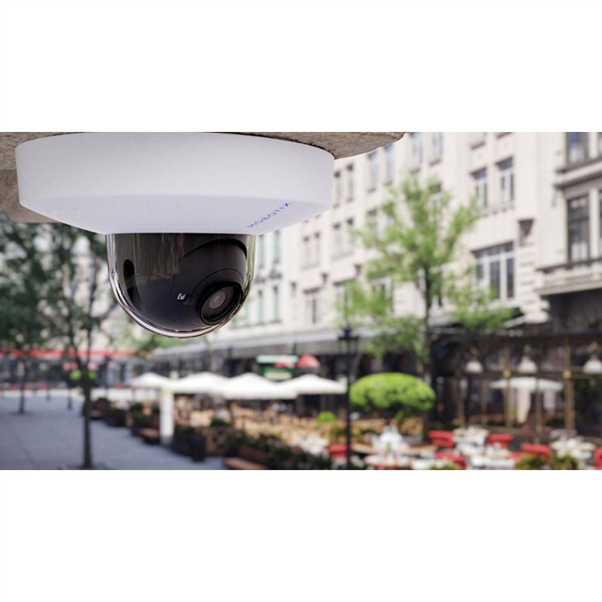 MOBOTIX D71B Dome Kamera 8 MP, 30°, IR-LED 30m