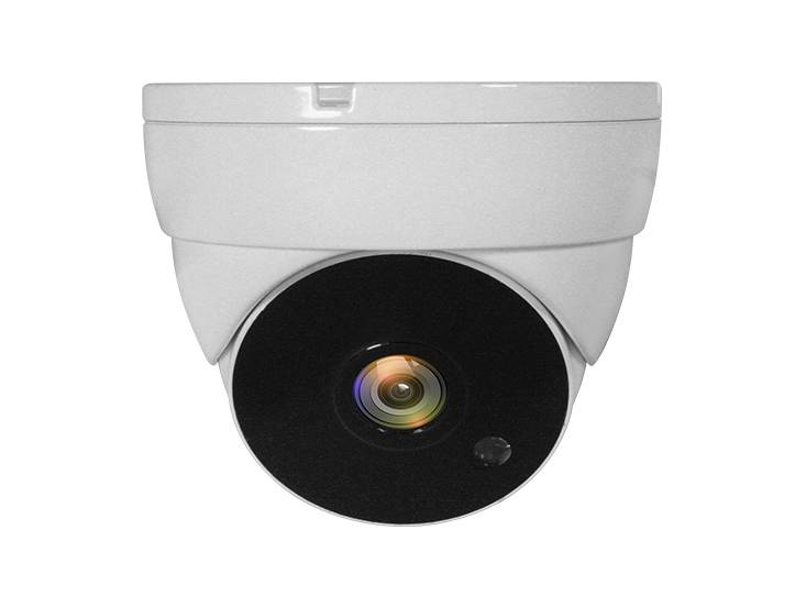 CCTV ACS-5302 Kuppel mit 2MP IR