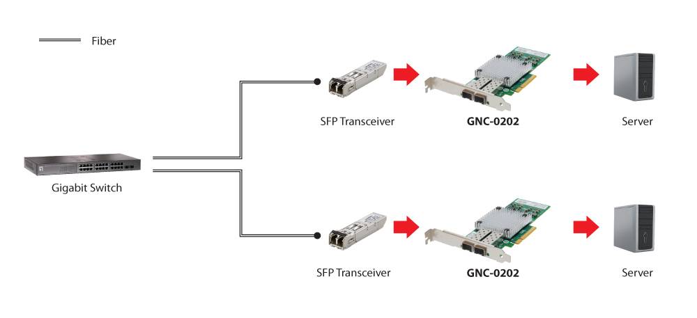 Diagramm, das einen Gigabit-Switch zeigt, der über Glasfaser mit zwei SFP-Transceivern verbunden ist, die jeweils mit einem GNC-0202-Adapter und dann mit einem Server verbunden sind.