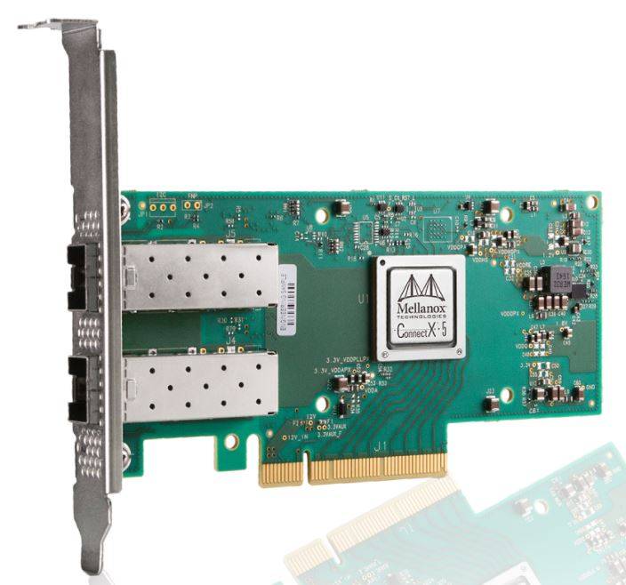 Mellanox ConnectX-5 EN - Netzwerkadapter - PCIe 4.0 x8
