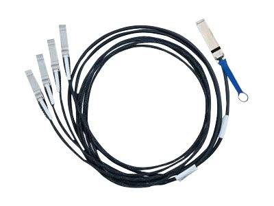 Mellanox Hybrid Passive Copper - InfiniBand-Kabel - SFP+ (M)