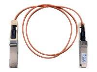 Cisco Direct-Attach Active Optical Cable - Netzwerkkabel