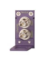 Extreme Networks Summit X460-G2 Series TM-CLK