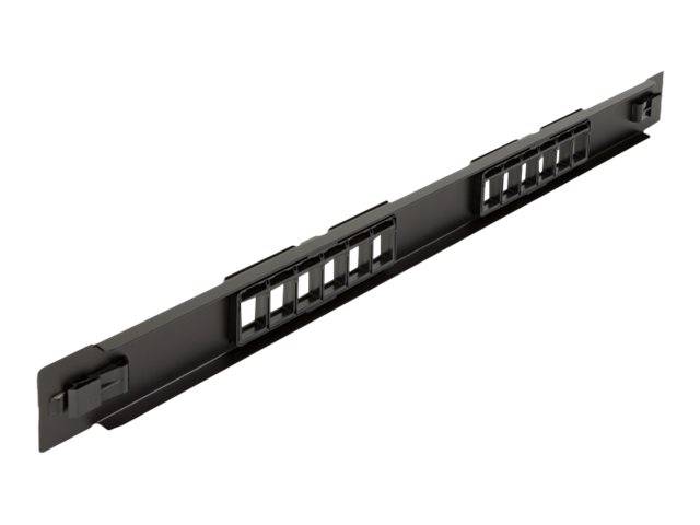 Delock - Patchpanel (Blindblech) - Rack montierbar - Schwarz - 1U - 48.3 cm (19")
