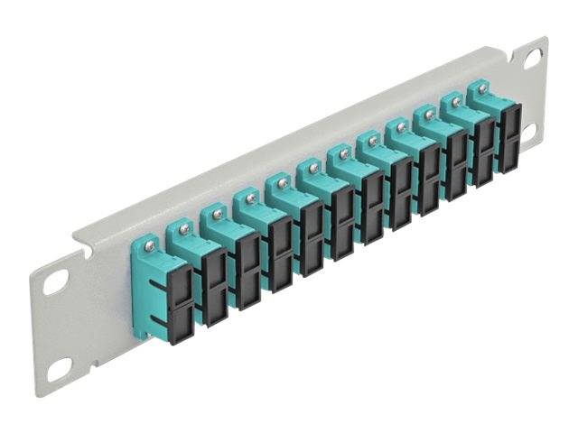 Delock - Patch Panel - SC Duplex MM X 12 - Grau - 1U - 25.4 cm (10")