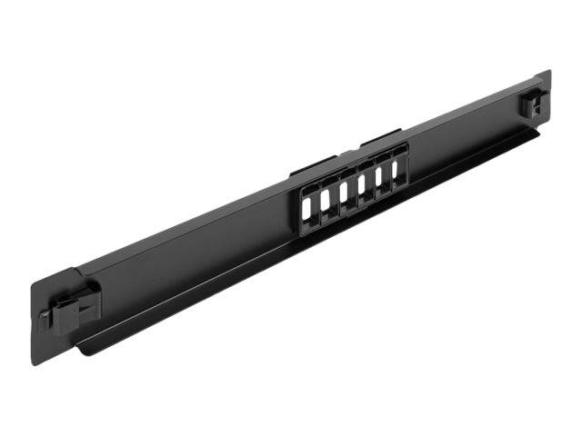 Delock - Patchpanel (Blindblech) - Rack montierbar - Schwarz - 1U - 48.3 cm (19")