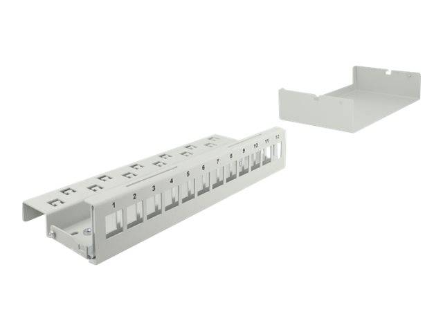 Delock - Leeres Keystone-Patchpanel - geeignet für Wandmontage, DIN schienenmontierbar