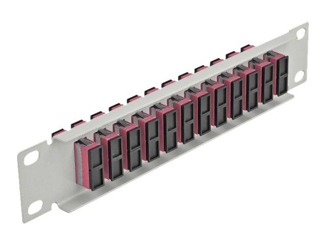 Delock - Patch Panel - SC Duplex MM X 12 - Grau - 1U - 25.4 cm (10")