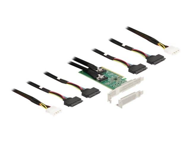 Delock - Speicher-Controller - 4 Sender/Kanal