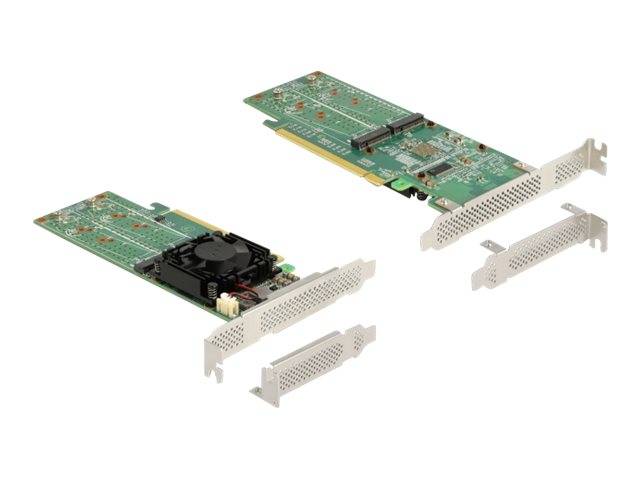 Delock - Speicher-Controller - M.2 - 4 Sender/Kanal