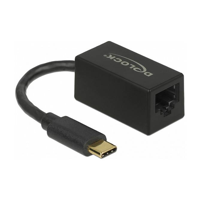 Schwarzer Delock USB-C zu Ethernet-Adapter mit kurzem Kabel und RJ45-Anschluss auf weißem Hintergrund