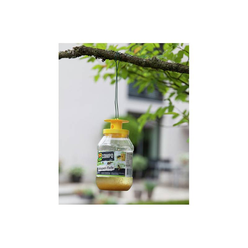 Eine hängende Wespenfalle mit einem gelben Deckel ist an einem Baumast in einem Garten befestigt, die darauf ausgelegt ist, Wespenpopulationen zu fangen und zu kontrollieren.