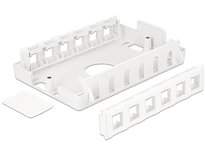 Delock - Installationskasten Netzwerkoberfläche