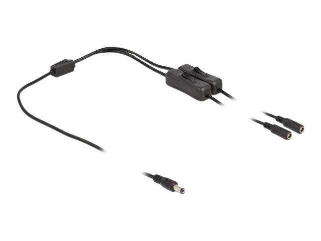 Delock - Netz-Splitter - Gleichstromstecker 5,5 x 2,1 mm (M)