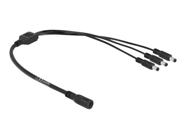 Delock - Netz-Splitter - Gleichstromstecker 5,5 x 2,1 mm (W)