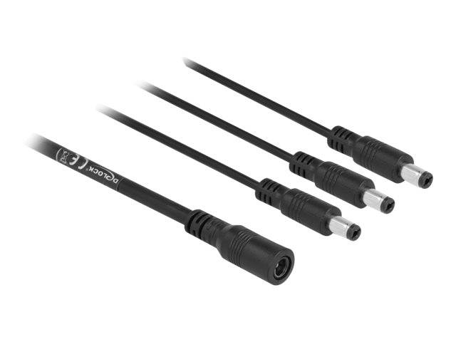 Delock - Netz-Splitter - Gleichstromstecker 5,5 x 2,1 mm (W)
