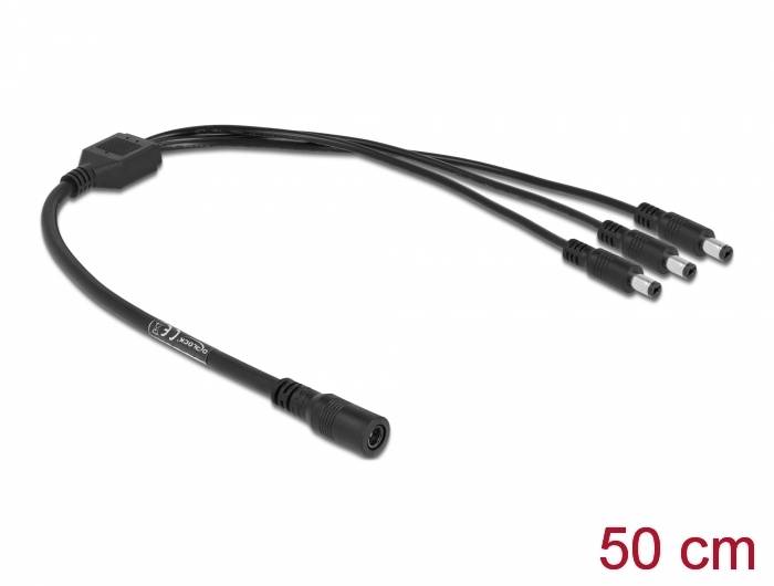 Delock - Netz-Splitter - Gleichstromstecker 5,5 x 2,1 mm (W)