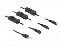 Delock - Stromkabel - USB (M) bis Gleichstromstecker 5,5 x 2,1 mm (W)
