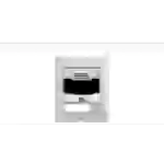 2N Telecommunications 9155301BF, Satinierter Stahl, 10,100 Mbit/s, 1280 x 960 Pixel, 640 x 480 Pixel, -40 - 60 °C, -40 - 70 °C 2N Telecommunications 9155301BF, Satinierter Stahl, 10,100 Mbit/s, 1280 x 960 Pixel, 640 x 480 Pixel, -40 - 60 °C, -40 - 70 °C
