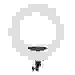 Walimex 22043, 96 W, 480 Glühbirne(n), LED, Weiß, 3200 K, 5500 K