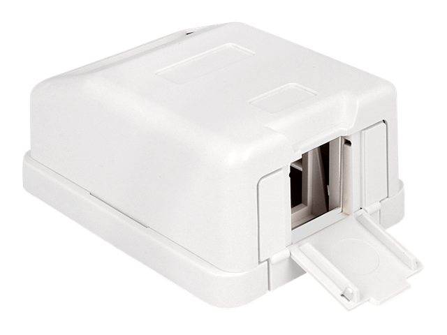 DeLOCK Keystone Surface Mounted Box - Gehäuse mit modularen Einsätzen