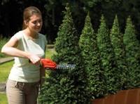 Black & Decker GSL300, Batterie/Akku, 3,6 V, 600 g