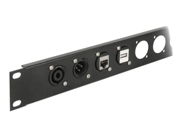 Delock D-Type Module USB 2.0 Type-A female to terminal block