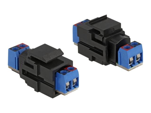 Delock - Modulare Eingabe - 2-poliger Klemmenblock