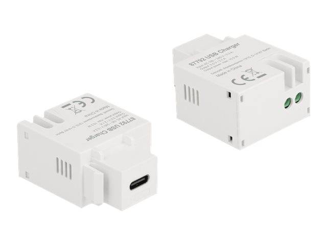 Delock - Netzteil - 10.5 Watt - 2.1 A (USB-C)