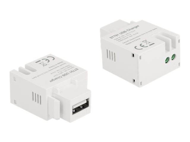 Delock - Netzteil - 10.5 Watt - 2.1 A (USB)