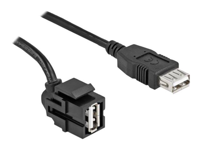 Delock - Modularer Einschub (Kopplung) - 250° abgewinkelt