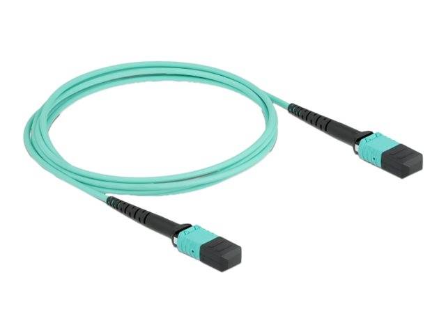 Delock - Stammkabel - MPO-Multi-Modus (W) bis MPO-Multi-Modus (W)