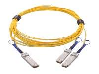 Mellanox LinkX 200Gb/s to 2x100Gb/s Active Splitter Fiber Cable