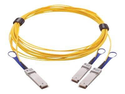 Mellanox - 200GBase Direktanschlusskabel - QSFP28 bis QSFP28