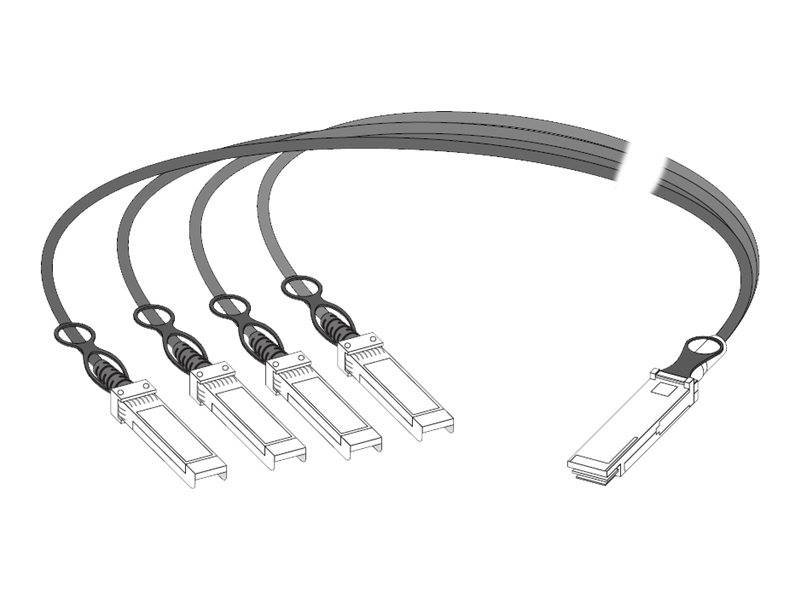 Extreme Networks - Netzwerkkabel - QSFP+ (M)