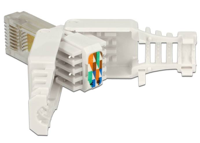 DeLOCK - Netzwerkanschluss - RJ-45 (M) - UTP - CAT 5e - (Anzahl pro Packung: 2)