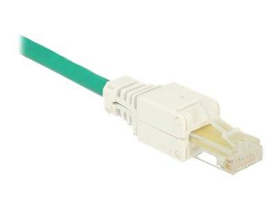 DeLOCK - Netzwerkanschluss - RJ-45 (M) - UTP - CAT 5e - (Anzahl pro Packung: 2)