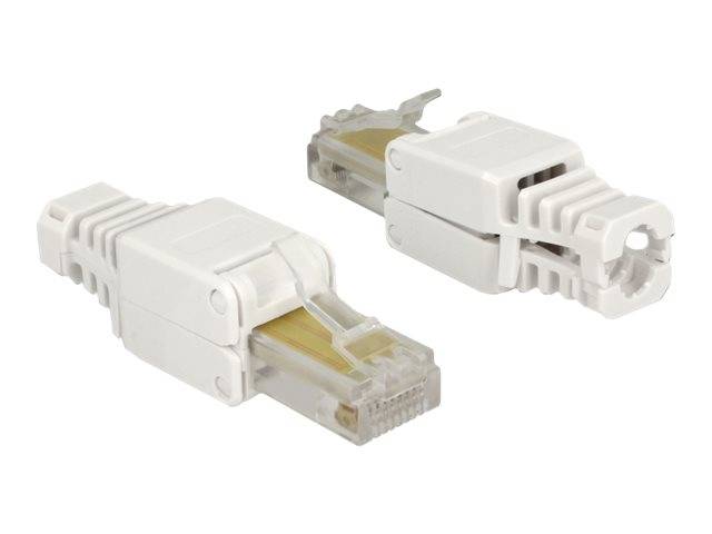 DeLOCK - Netzwerkanschluss - RJ-45 (M) - UTP - CAT 5e - (Anzahl pro Packung: 2)