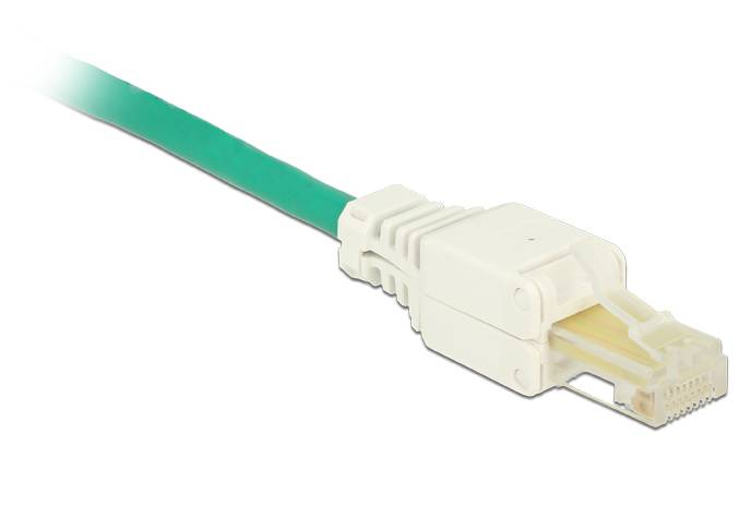 DeLOCK - Netzwerkanschluss - RJ-45 (M) - UTP - CAT 5e - (Anzahl pro Packung: 2)