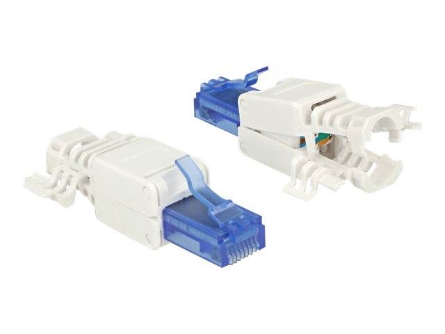 DeLOCK - Netzwerkanschluss - RJ-45 (M) - UTP - CAT 6a - (Anzahl pro Packung: 2)