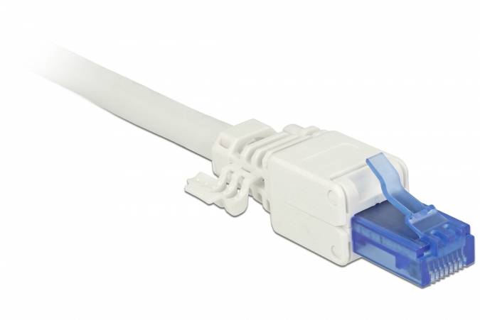 DeLOCK - Netzwerkanschluss - RJ-45 (M) - UTP - CAT 6a - (Anzahl pro Packung: 2)