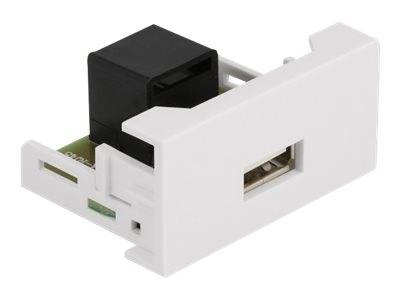 Delock - Easy 45 - Einrastmodul - USB - 1 Modul