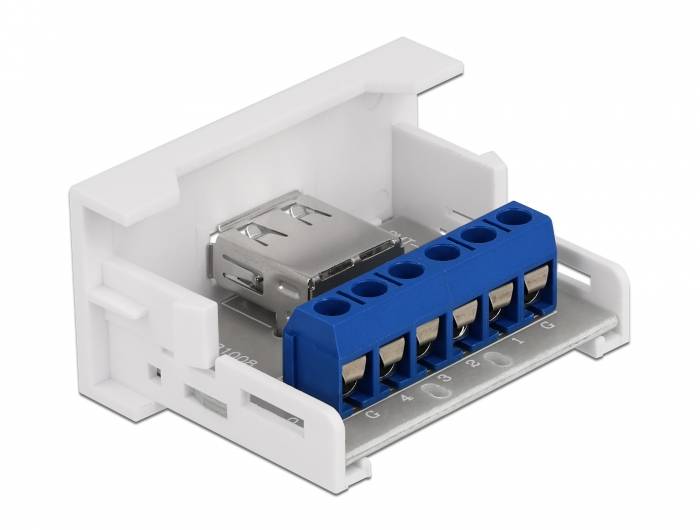 Delock - Easy 45 - Einrastmodul - USB - 1 Modul