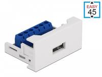 Delock - Easy 45 - Einrastmodul - USB - 1 Modul