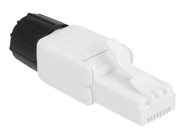 Delock - Netzwerkanschluss - RJ-45 (M) - UTP