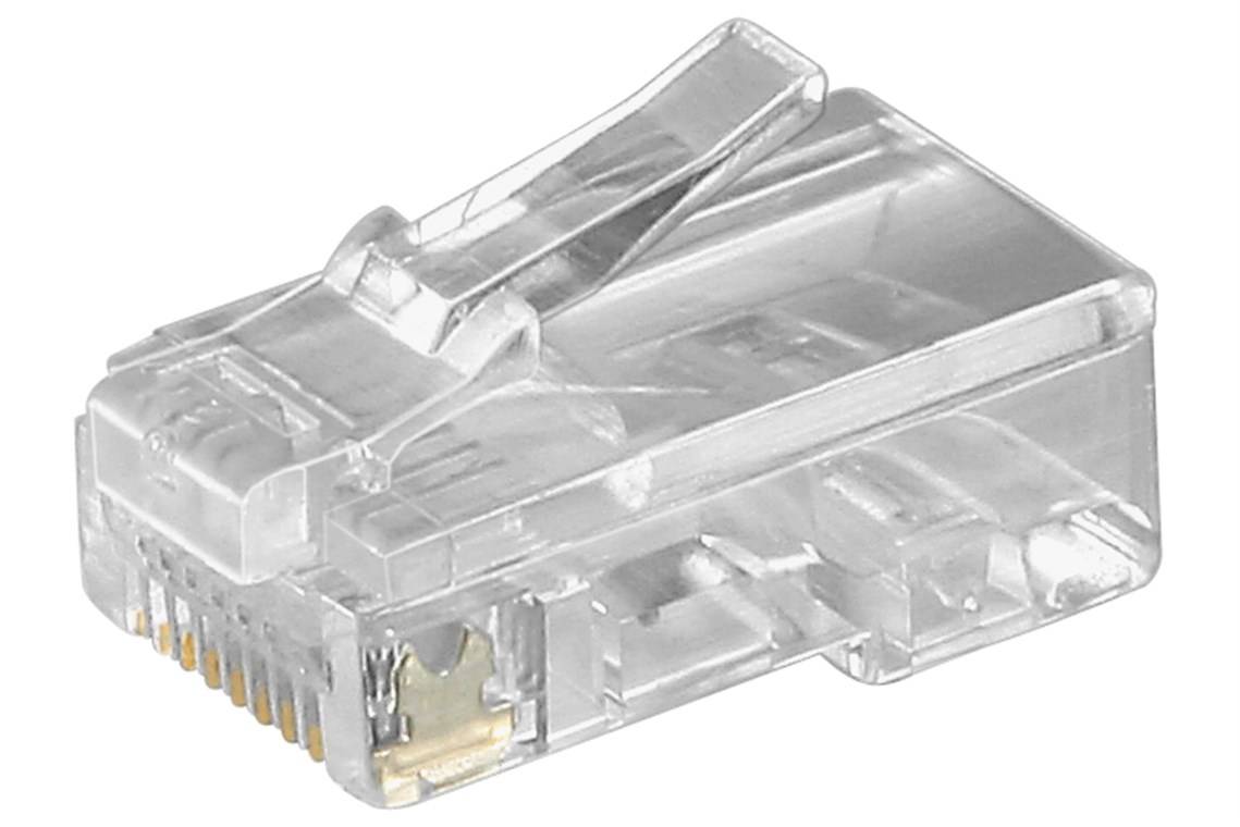 Nahaufnahme eines durchsichtigen Ethernet-Kabelsteckers mit vergoldeten Kontaktstiften.