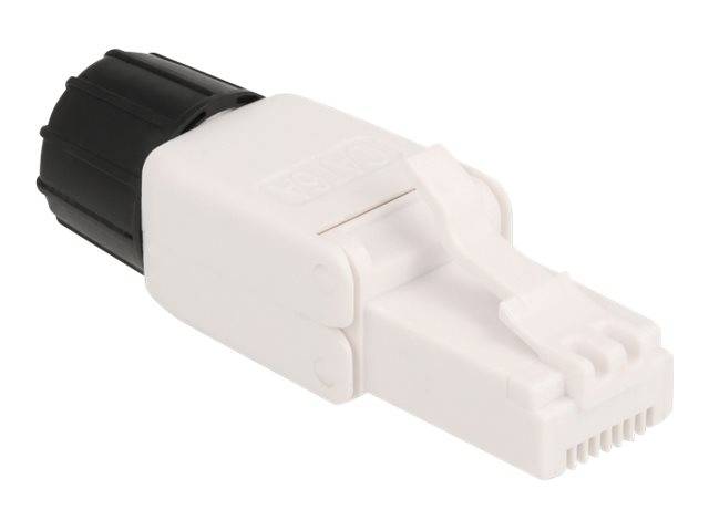 Delock - Netzwerkanschluss - RJ-45 (M) - UTP